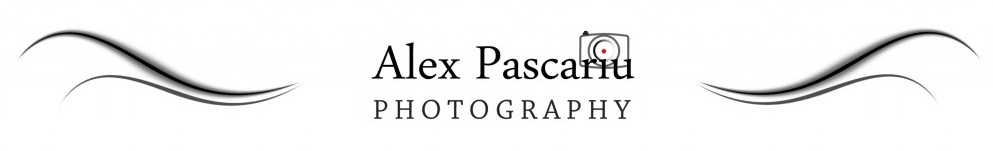banner blog.